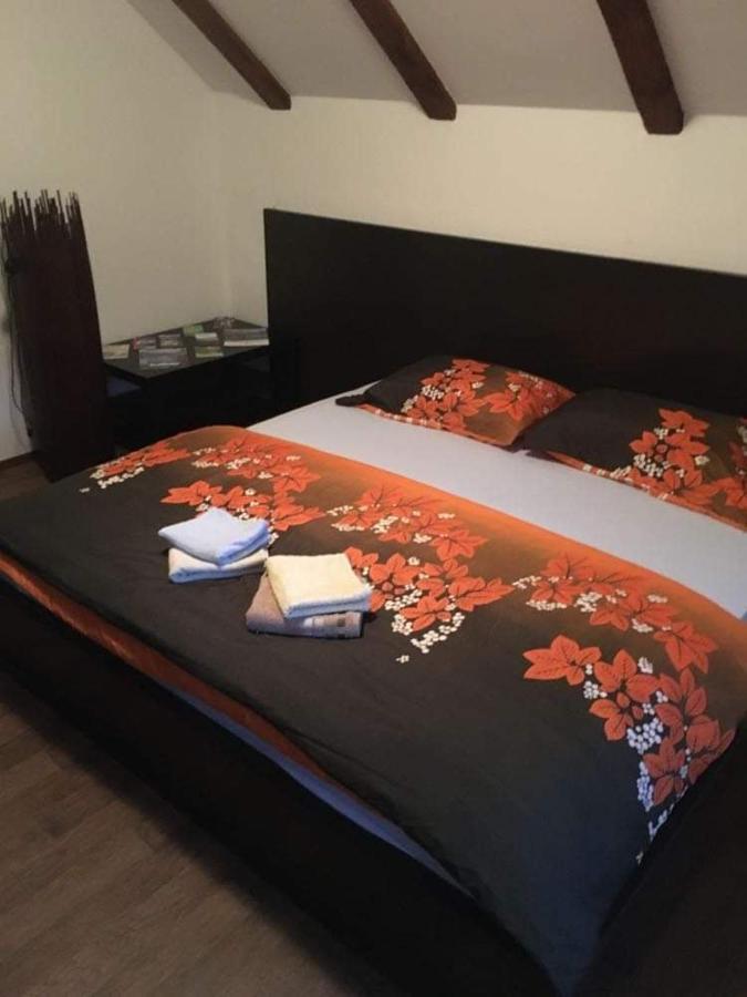 Apartmaji Velikonja Ajdovščina 外观 照片