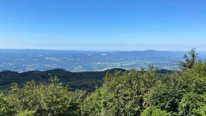 Apartmaji Velikonja Ajdovščina 外观 照片
