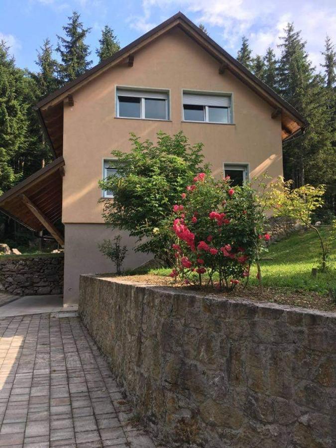Apartmaji Velikonja Ajdovščina 外观 照片