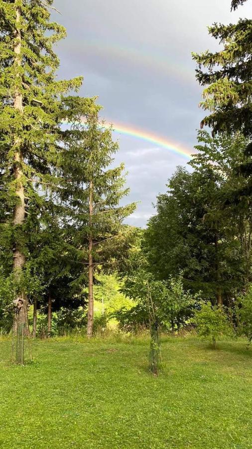Apartmaji Velikonja Ajdovščina 外观 照片