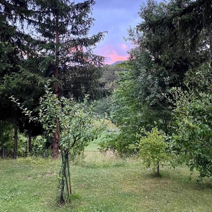 Apartmaji Velikonja Ajdovščina 外观 照片