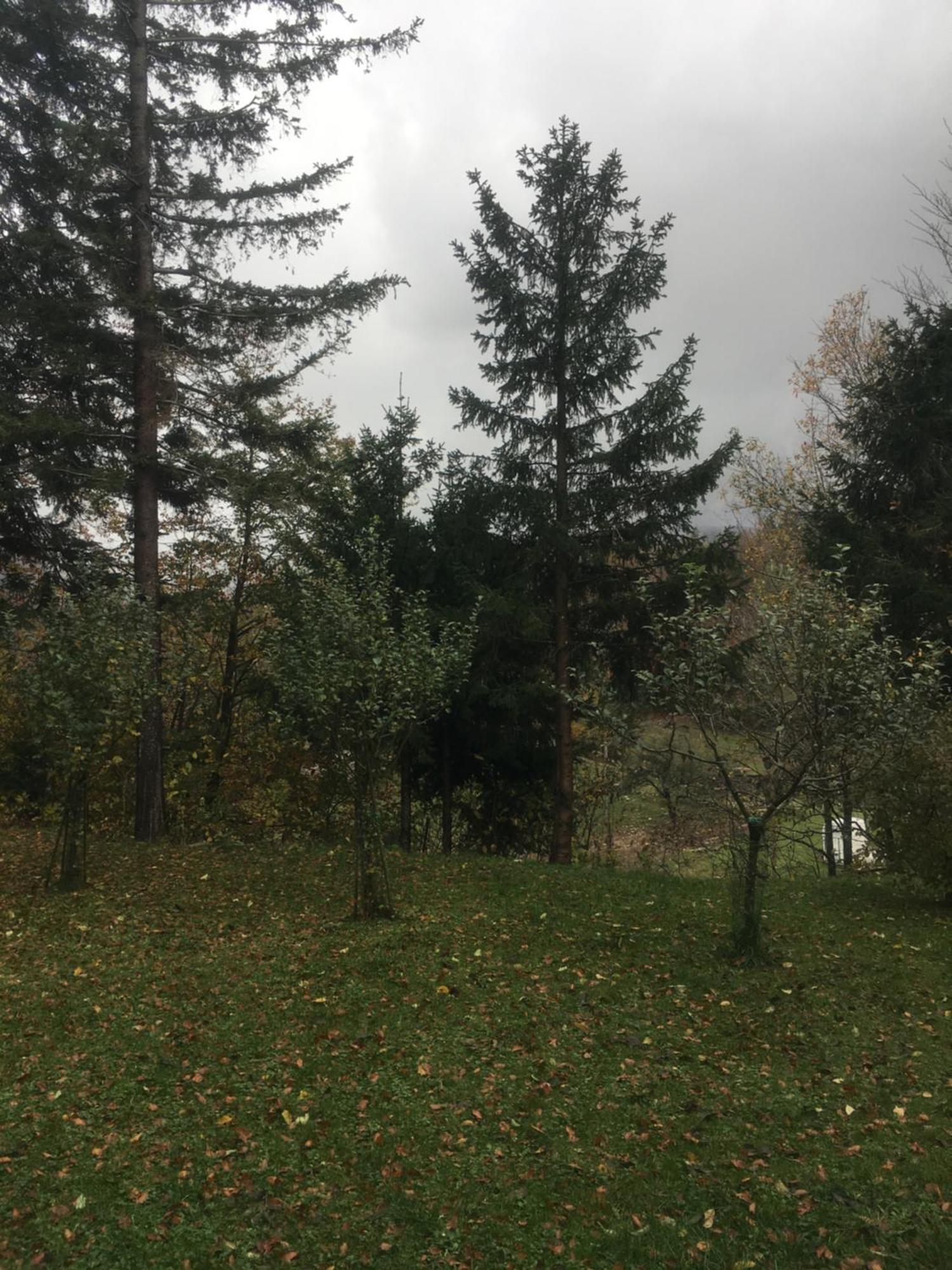Apartmaji Velikonja Ajdovščina 外观 照片