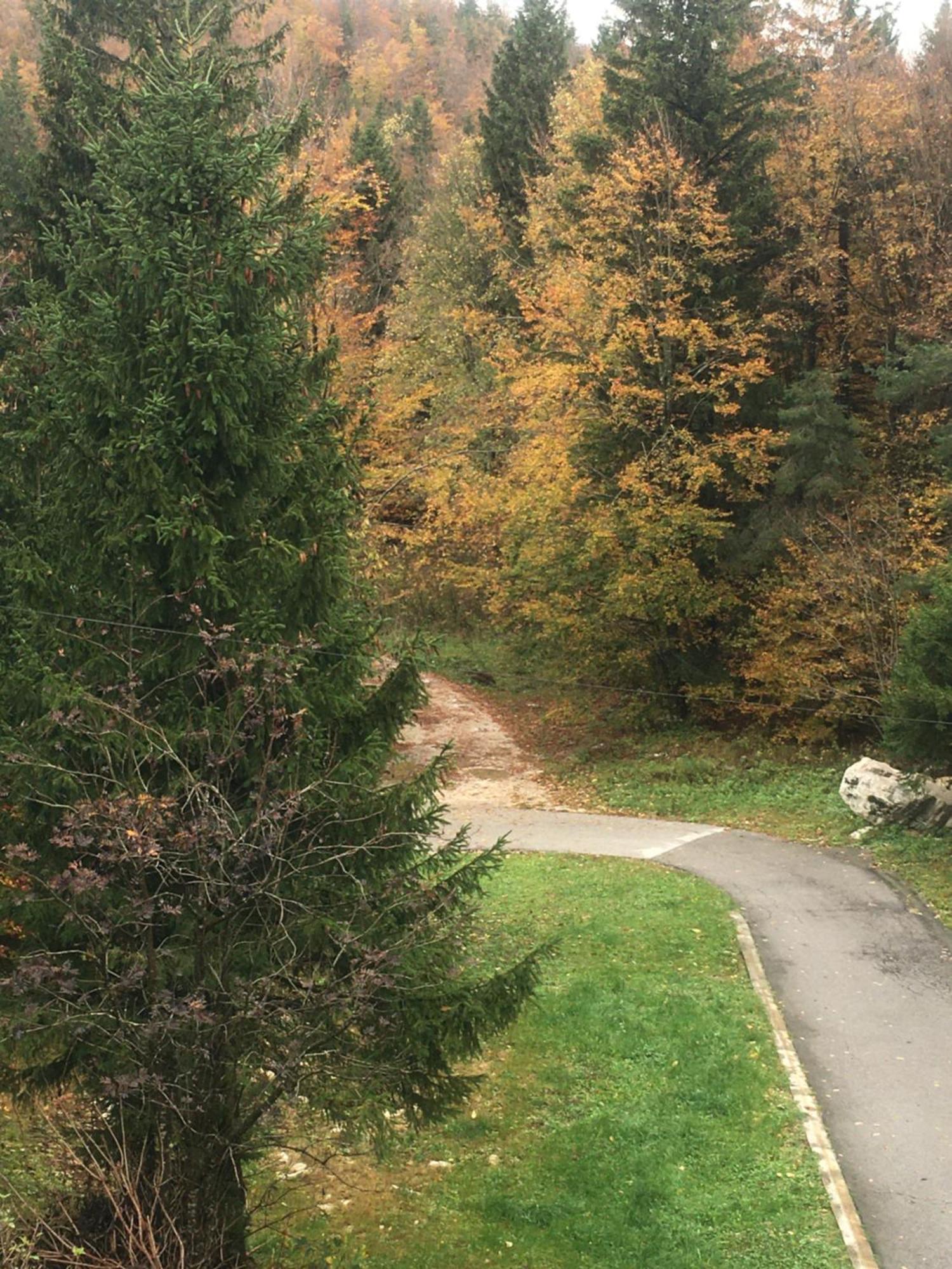 Apartmaji Velikonja Ajdovščina 外观 照片